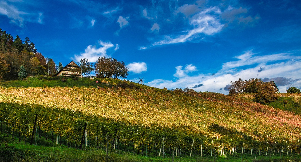 A Guide to the Best Wine Regions in Italy